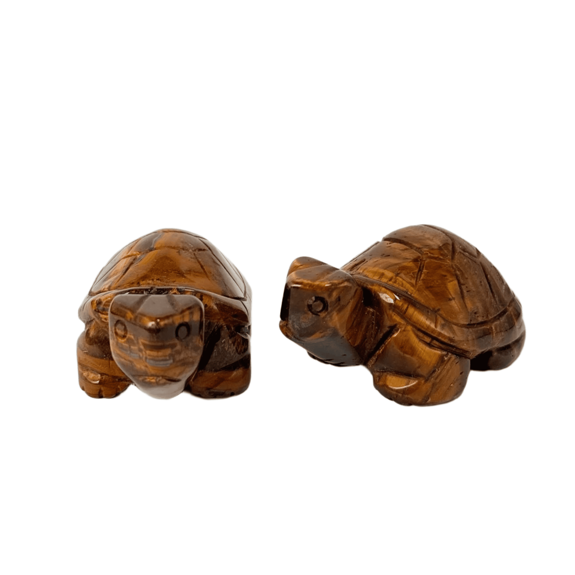 Tiger Eye Crystal Turtle